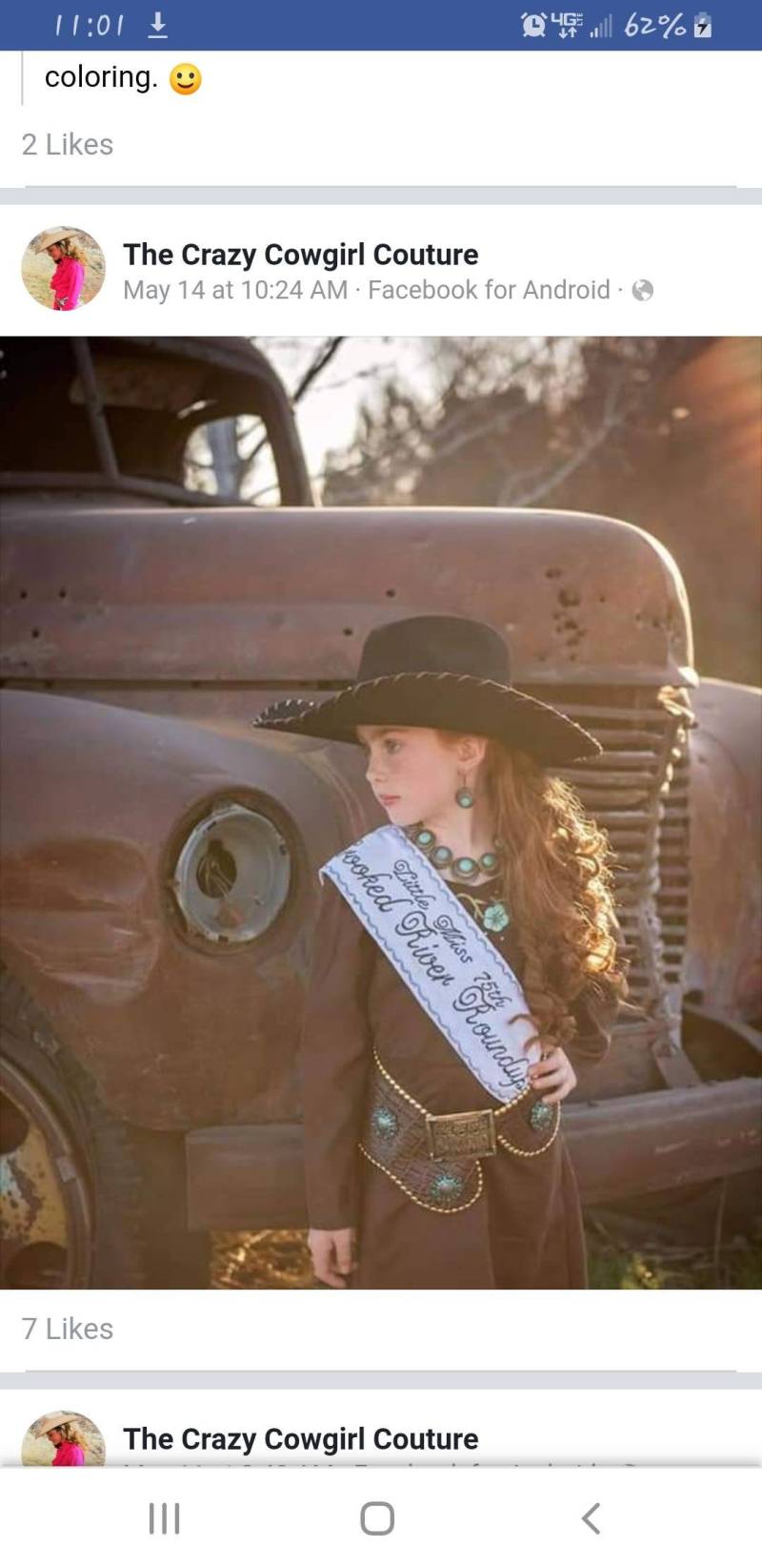Pageant Queen Sashes | Rodeo Pageant Queen Sashes | Rodeo von CraftsnthingsbyHindi