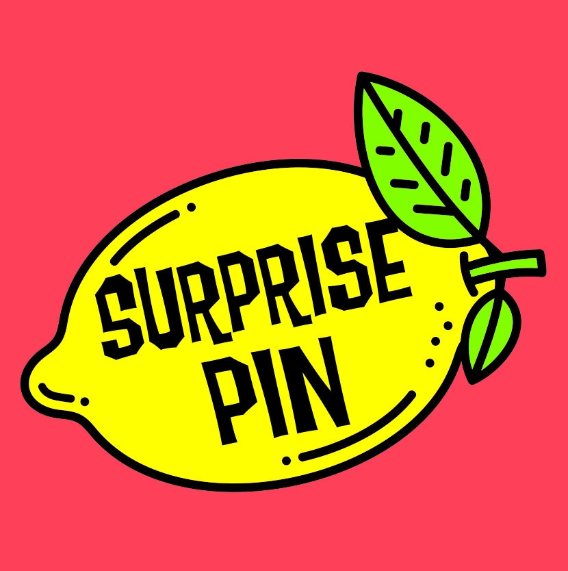 Emaille-Anstecknadeln, Überraschungsnadel, Es Ist Ein Geheimnisvoller Glücksfall von CraftyCactusCompany