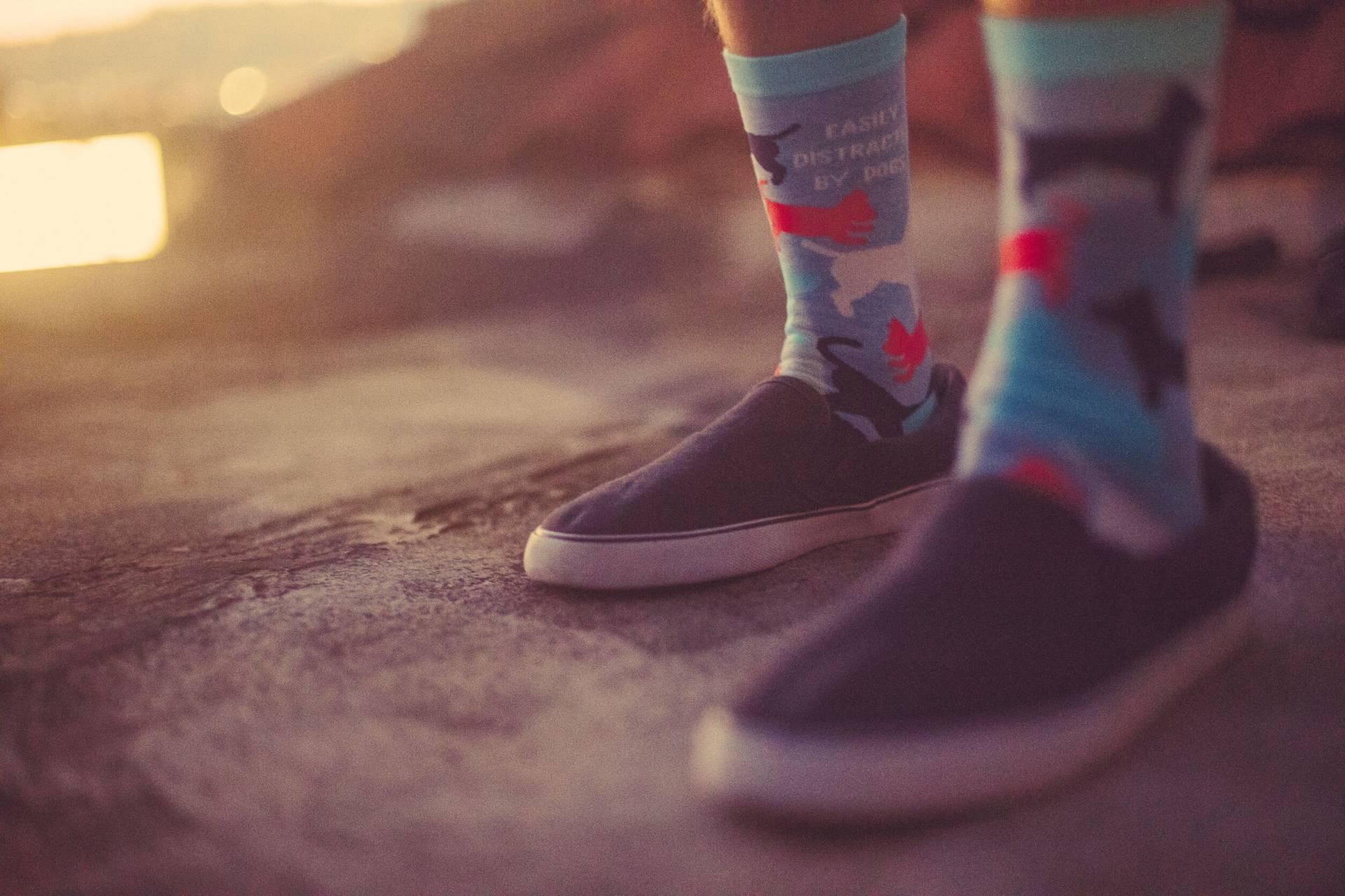 Leicht Abgelenkt Von Hunde Socken, Katzenliebhaber Geschenke, Hundeliebhaber Damen Neuheit Süße Hundesocken, Lustige Socken Frauen, Verrückte Leicht Abgelenkt Von Hunde Socken, Katzenliebhaber Geschenke, Hundeliebhaber Damen Neuheit Süße Hundesocken, Lustige Socken Frauen, Verrückte von CrazyDogTshirts