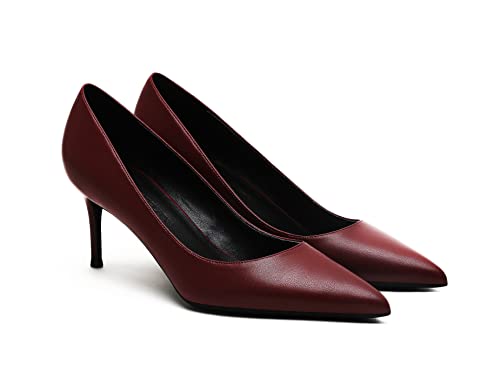 CrazycatZ Damen Pointed Toe Stiletto Klassische Pumps hochhackige Schuhe (Red Wine, eu_Footwear_Size_System, Adult, Women, Numeric, medium, Numeric_37) von CrazycatZ