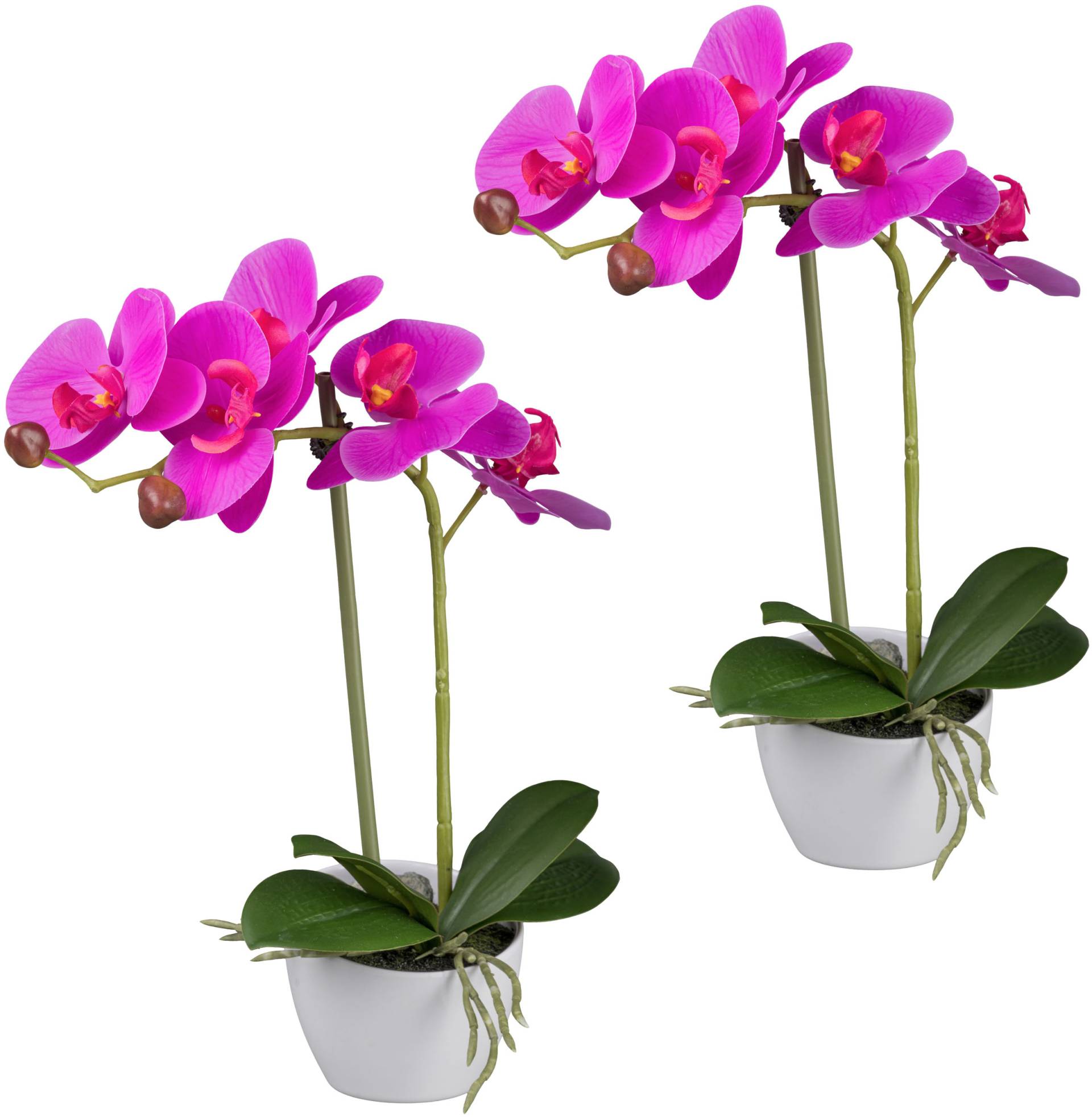 Creativ green Kunstorchidee "Orchidee Phalaenopsis" im Design-Topf von Creativ Green