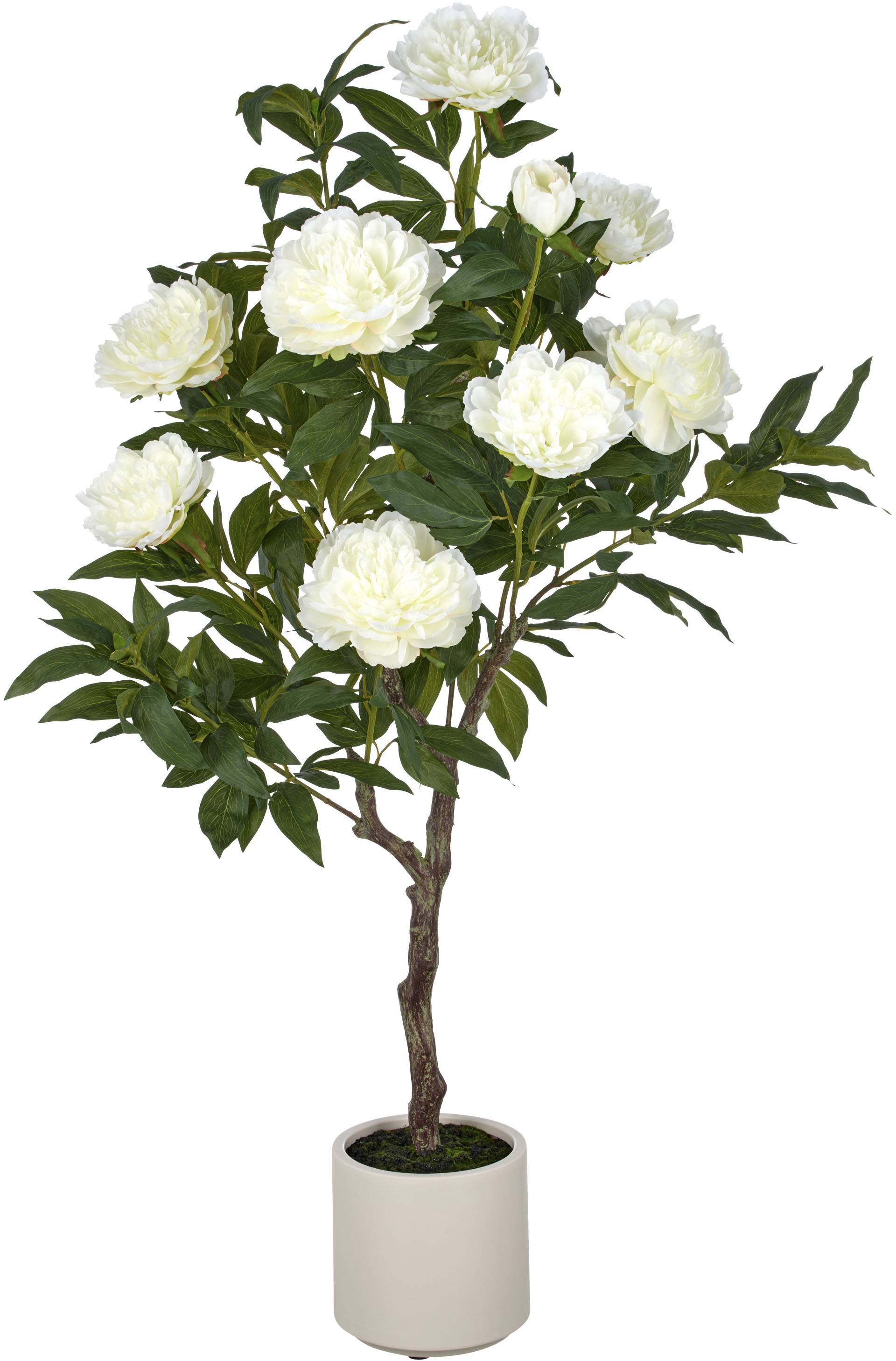Creativ green Kunstpflanze "Peonie" im eleganten Topf von Creativ Green