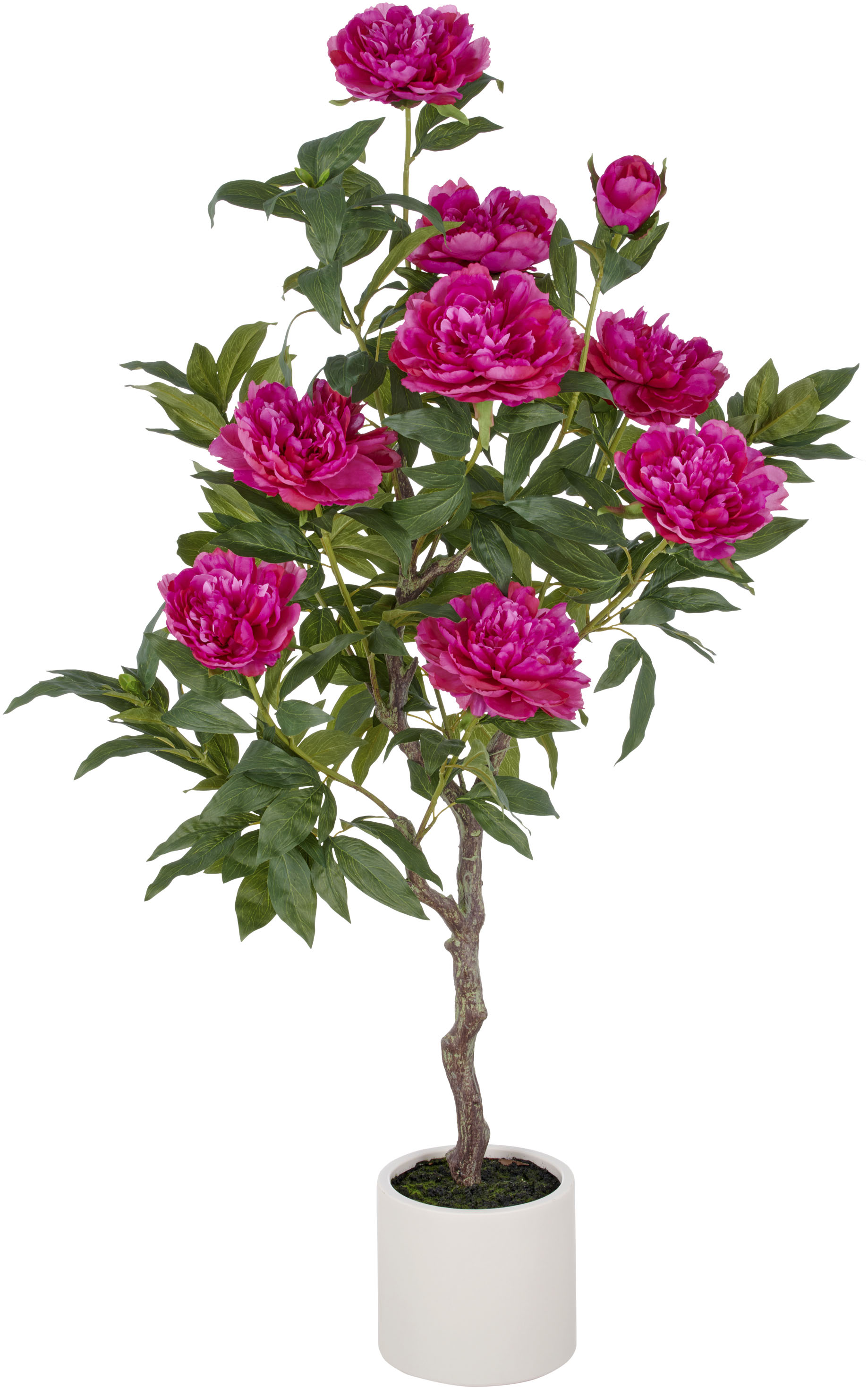 Creativ green Kunstpflanze "Peonie" im eleganten Topf Creativ green Kunstpflanze "Peonie" im eleganten Topf von Creativ Green