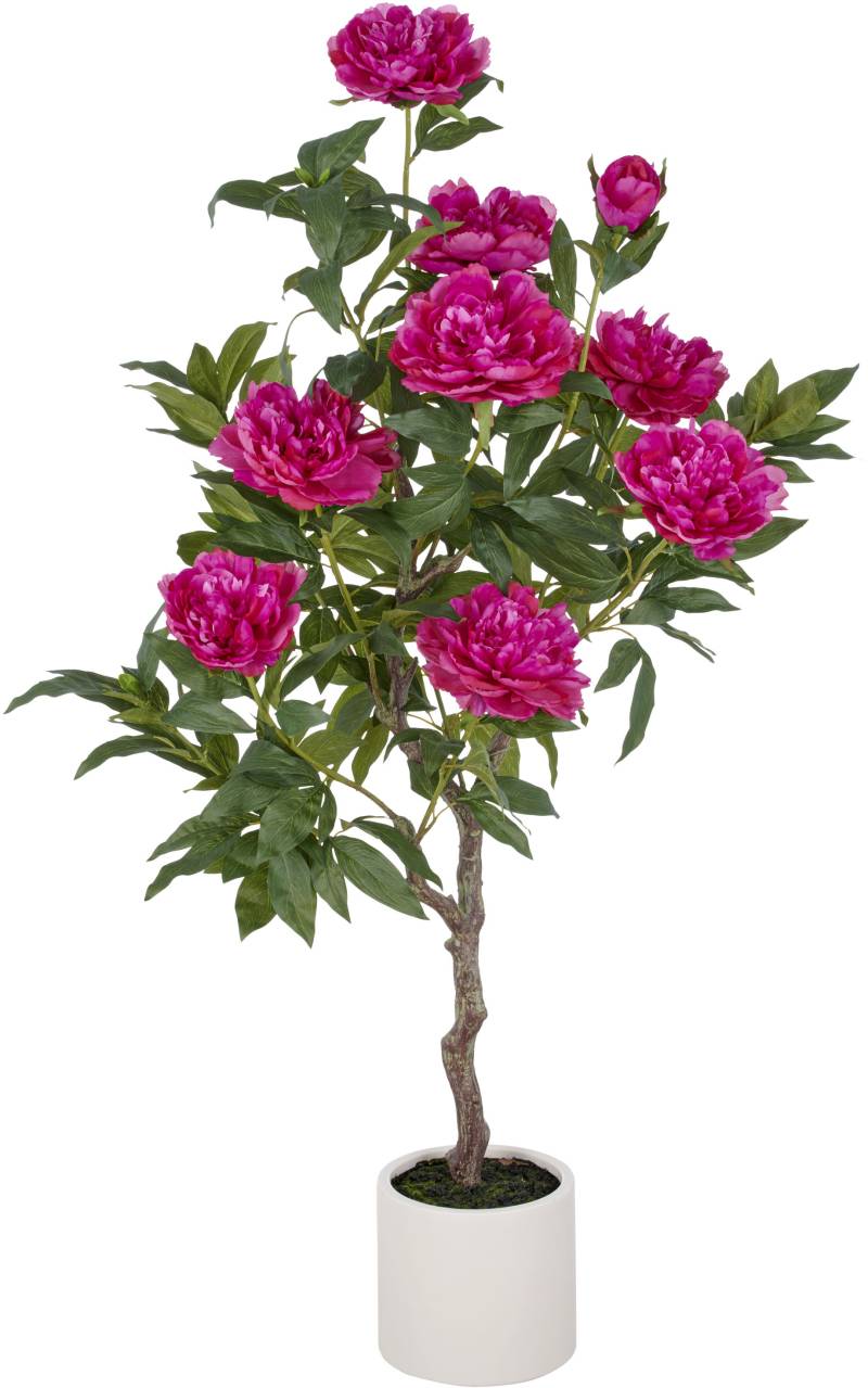 Creativ green Kunstpflanze "Peonie" im eleganten Topf Creativ green Kunstpflanze "Peonie" im eleganten Topf von Creativ Green