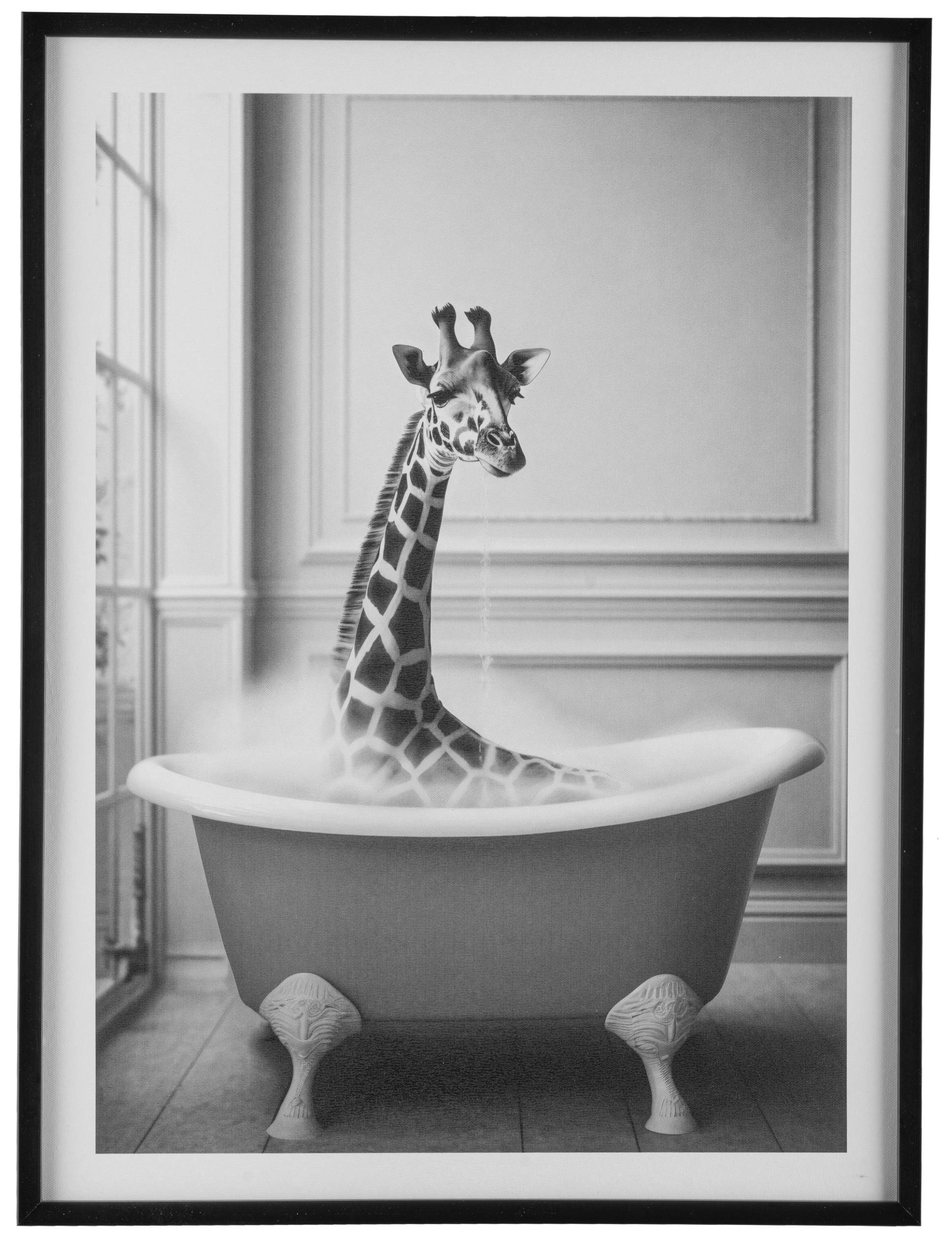 Creativ home Bild mit Rahmen "Leinwandbild Giraffe in Badewanne", (1 St.), mit Rahmen von Creativ Home