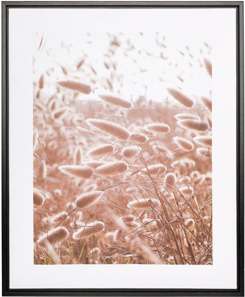 Creativ home Bild mit Rahmen "Leinwandbild Grasblüten" 1 Stk. tlg. mit Rahmen von Creativ Home