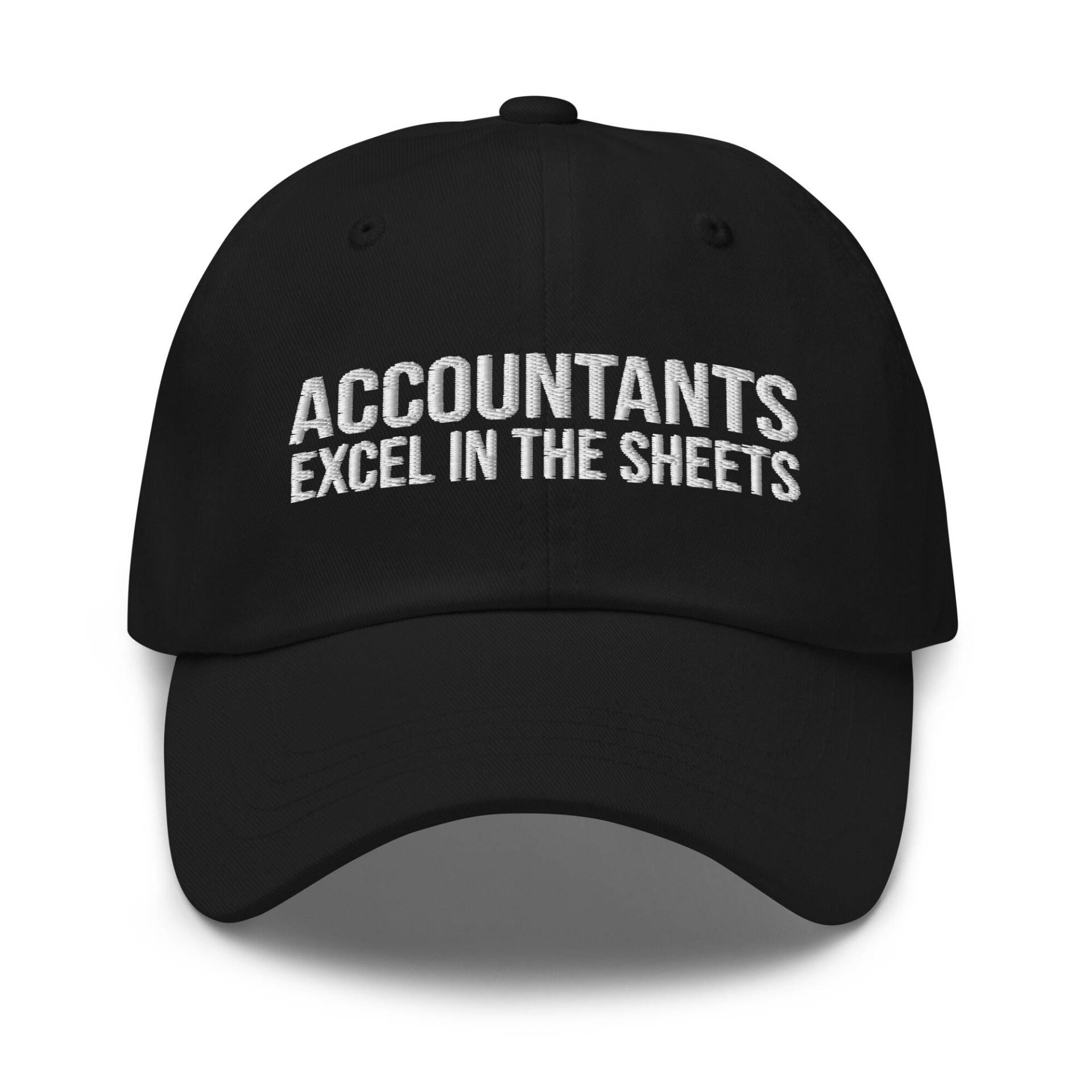 Buchhalter Excel in The Sheets Hat, Cpa Geschenk, Geschenk Für Cpa, Buchhaltungsgeschenk, Steuersaison, Gestickter Hut, Gestickte Mütze von CreativeHats4You