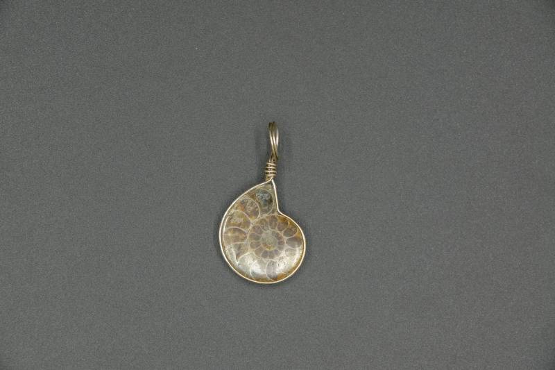Anhänger Aus Versteinertem Ammonit Und Aluminiumdraht von CreativebeadcraftDE
