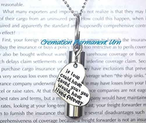 Cremation Permanent Urn Wenn Love Halskette Hätte Man Verbrennung, Gespeichert, Urne Halskette, Verbrennung Schmuck, Halskette für Asche, Remembrance Halskette, Verlust Jewelry Cremation Permanent Urn Wenn Love Halskette Hätte Man Verbrennung, Gespeichert, Urne Halskette, Verbrennung Schmuck, Halskette für Asche, Remembrance Halskette, Verlust Jewelry von Cremation Permanent Urn