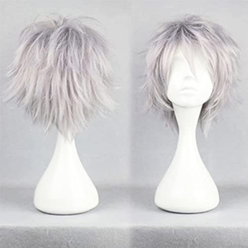 Anime Perücke Silber Grau Kurze Cosplay Perücken Halloween Damen Herren Synthetische Gerade Fancy Dress Perücke Gewellt Glatt Perücke Karneval Kostüm Party Perücke mit Gratis Mütze für Frauen Männer von Cybelleza
