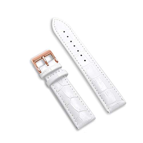 Uhrenarmband Leder 12/14/16/18/19/20/22/24mm Uhren Stahl Dornschliesse Band-Bügel-Handgelenk-Gurt-Armband + Werkzeug White 2, 26mm Uhrenarmband Leder 12/14/16/18/19/20/22/24mm Uhren Stahl Dornschliesse Band-Bügel-Handgelenk-Gurt-Armband + Werkzeug White 2, 26mm von Cycat