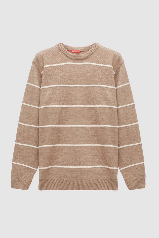 D'S DAMAT Strickpullover Gestreifter Pullover mit normaler Passform von Ds Damat von D'S DAMAT