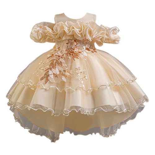 Prinzessin Kleid Damen Prinzessin Kleid Mädchen Kleidung Mädchen Prinzessinnenkleid für Kleinkinder Mädchen ärmellos Schmetterling Tüll Spitze Rüschen Kleid Tanz Party Prinzessin Kleider Kleidung von DACONGMING