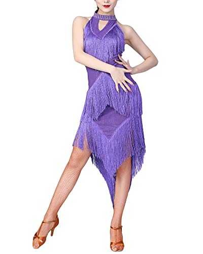 Latein Tanz Kleider Kostüme - Latin Tänze Walzer Tango Swingtanz Party Salsa Quasten Tanzkleid für Damen,Lila,XL von DAIHAN