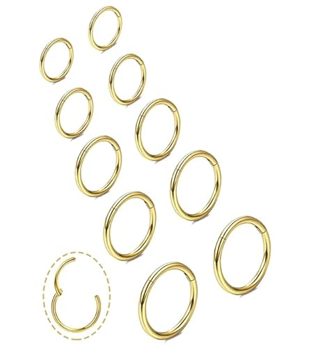 Nasenring Gold Silber, dünn Titan Ohrringe Damen Herren Nasenring 18G Septum Helix Tragus Conch Piercing Hypoallergen Knorpel Piercing Ohr Lippenpiercing Nasen Goldene 6-10mm (6/7/8/9/10 Gold Hoop) von DAILI