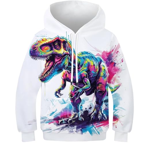 DAKINCHERRY Dinosaurier Jungen Mädchen Hoodie 3D Lustig GedrucKt Kapuzenpullover Fierce Dinosauriers Personalisierte Kapuzenpulli 8-10Y von DAKINCHERRY