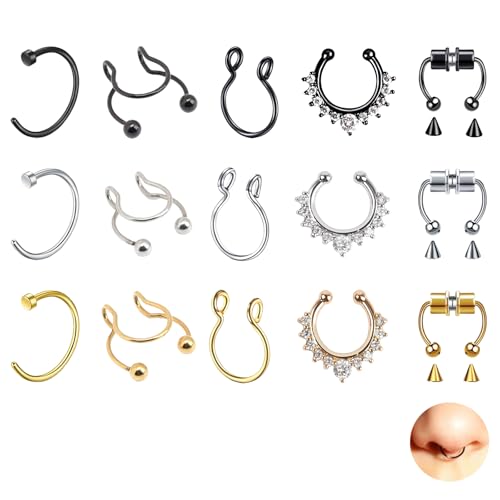 DALAETUS 15 Stück Magnettrenner Nasenring-Set - Edelstahl Fake Nasenpiercing, Fake Septum Ring, Magnetic Nose Clip, Stahlfarbe, Gold, Schwarz, Septum Piercing Schmuck für Damen und Herren von DALAETUS