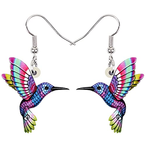 DALANE Acryl Niedlich Kolibri Ohrringe Hängend Vögel Baumeln Mode Schmuck Kolibri Geschenke für Damen Mädchen Deko (Violett) von DALANE