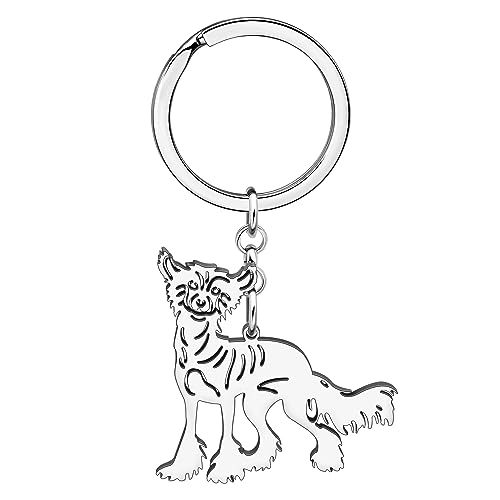 DALANE Edelstahl Niedlichen Schnauzer Hund Schlüsselanhänger Welpe Haustier Schmuck Schlüsselanhänger Bull Terrier Geschenke für Hundeliebhaber Frauen Mädchen (Versilberter Chinesischer Schopfhund) von DALANE