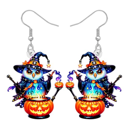 DALANE Neuheit Halloween Magic Hexe Eule Vogel Ohrringe Hängend Geschenke für Damen Mädchen Vogelliebhaber, Acryl Spooky Jack O Lantern Kürbis Mystery Witch, Halloween Kostüme Schmuck (Farbenfroh) von DALANE