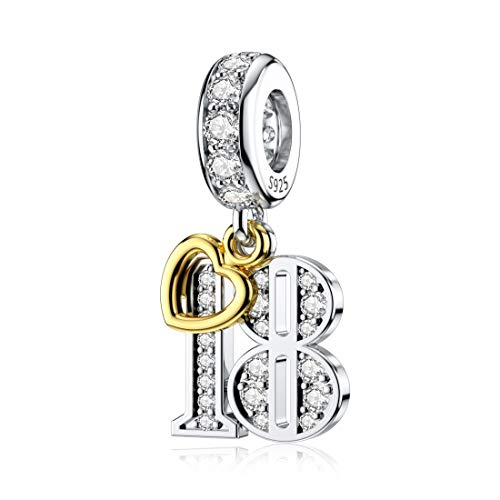 18 Jahre Charm für Pandora Sterling Silber Number Age Charm Geburtstags Geschenk"MEHRWEG" 18 Jahre Charm für Pandora Sterling Silber Number Age Charm Geburtstags Geschenk"MEHRWEG" von DALARAN