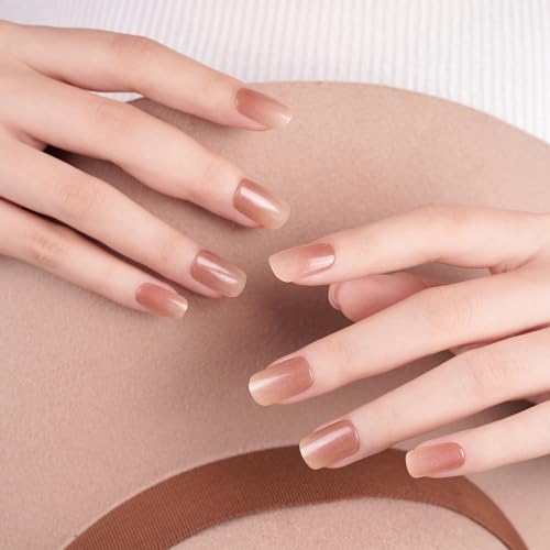 DANNI & TONI Halb ausgehärtete Gel Nagelfolien (Earthy Ombre) Braun Glitzer Farbverlauf Glänzend uv Gel Nagelfolie Nagelsticker Nageldesign Nagelfolie Selbstklebend Wraps 28 Aufkleber von DANNI & TONI