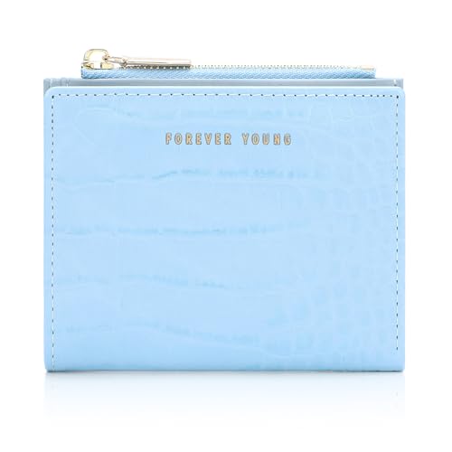 DANXIAN Geldbeutel Damen klein, Portemonnaie Damen, Geldbörse PU Leder, Geldbeutel Viele Fächer Damen Geldbörse mit Zipper Münzfach Brieftasche von DANXIAN