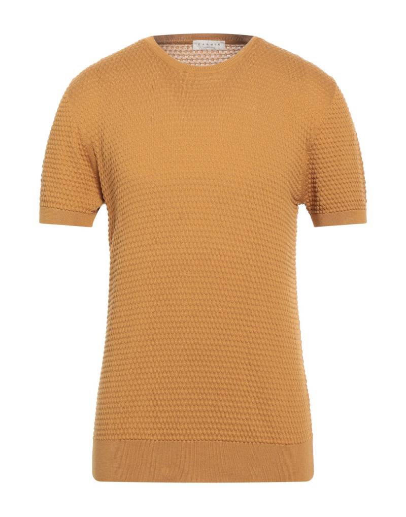 DARWIN Pullover Herren Senf von DARWIN