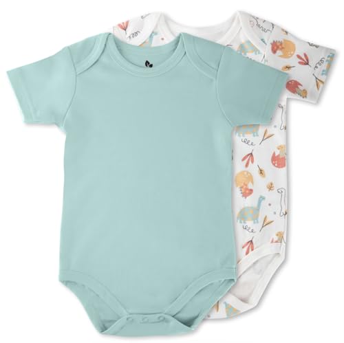 DAVY Bio-Baumwolle Baby Bodysuits, 2er-Pack Unisex Einteiler für Jungen und Mädchen von DAVY