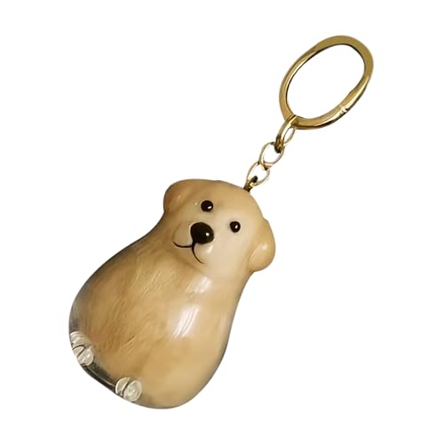 DAWCBVJQ Haarentferner Schlüsselanhänger | Transparenter Katzenhaar Sammler Anhänger | Praktischer Aufbewahrungsanhänger Für Täglichen Gebrauch In Handtasche Rucksack Und Auto Unisex Für Kinder Und von DAWCBVJQ