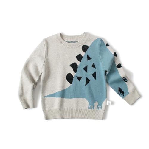 DAWILS Jungen Pullover Herbst Winter Cardigan Baumwolle Langarm Grau Dinosaurier Stricken Sweater für Kinder Strickjacken 110 von DAWILS