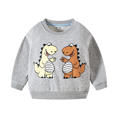 DAWILS Jungen Sweatshirt Dinosaurier Grau Baumwolle-Fleece Pullover Für Kinder Warme Dünne Sportwear Weihnachts Pullis Shirt Baby Jacke Oberteil 3 Jahre Gr.98 von DAWILS