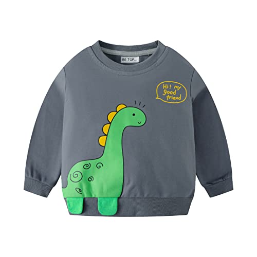 DAWILS Jungen Sweatshirt Dinosaurier Grau Baumwolle-Fleece Pullover Für Kinder Warme Dünne Sportwear Weihnachts Pullis Shirt Baby Jacke Oberteil 3 Jahre Gr.98 von DAWILS