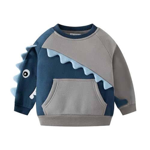 DAWILS Jungen Sweatshirt Krokodil Grau Baumwolle-Fleece Pullover Für Kinder Warme Dünne Sportwear Weihnachts Pullis Shirt Baby Jacke Oberteil 5 Jahre Gr.110 von DAWILS
