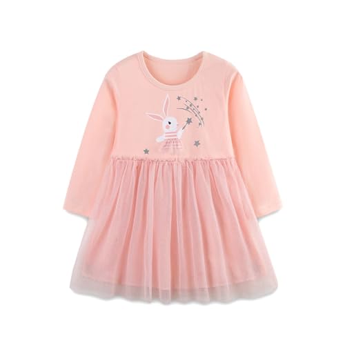 DAWILS Mädchen Kleid Tüll Festlich Elegant Prinzessin Kleidung Herbst Langarm Tanzen Rosa Kaninchen Tütü Baby Partykleid Ballettkleid Geburtstag Tutu Kleider 5 Jahre von DAWILS