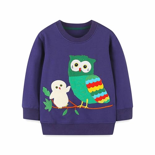 DAWILS Mädchen Sweatshirt Baumwolle Fleece Rundhals Pullover Für Kinder Warme Sportwear Weihnachts Langarm Eule Lila Kapuzenpullover Hemden Schule Jacken Oberteil 98 von DAWILS