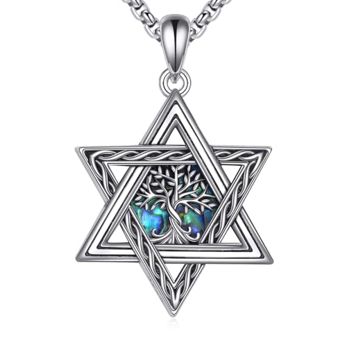 DAYLINLOVE Davidstern Halskette 925 Sterling Silber Abalone Muschel Jüdischer Stern Halskette Jüdischer Baum des Lebens Geschenke für Männer Frauen Mädchen von DAYLINLOVE
