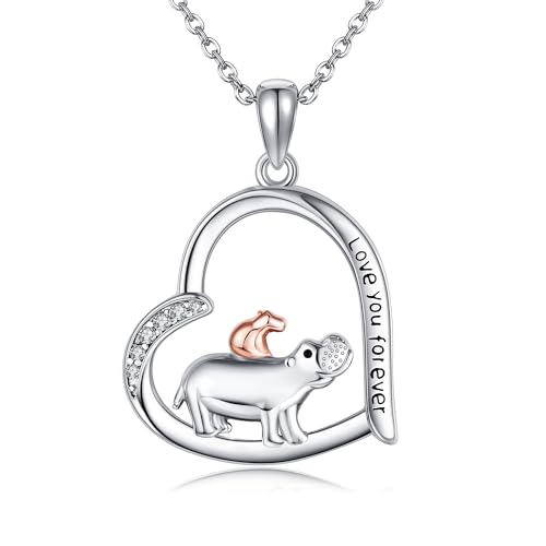 DAYLINLOVE Nilpferd Kette 925 Sterling Silber Herz Zwei Nilpferd Familie Anhänger Halsketten Nilpferd Schmuck Geburtstags Geschenke für Damen Frauen Mädchen Tochter von AXOMY