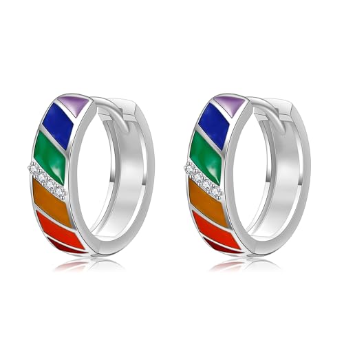 DAYLINLOVE Regenbogen Ohrringe 925er Sterling Silber LGBT Stolz Creolen Ohrhänge LGBTQ Stolz Schmuckgeschenke für Damen Frauen Männer von DAYLINLOVE