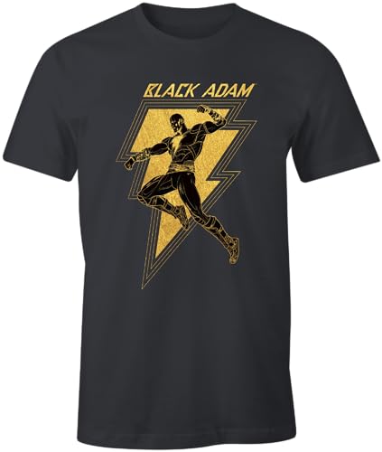 DC COMICS Herren Mebladmts010 T-Shirt, anthrazit, M von DC Comics