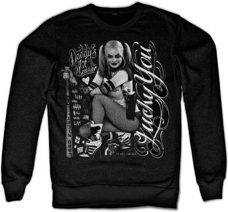 DC Comics Rundhalspullover von DC Comics