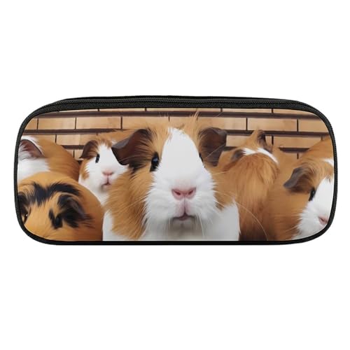 DDTKLSNV Federmäppchen aus Leder, wasserdicht, niedliches Federmäppchen, Reise-Kosmetiktasche, Make-up-Tasche, Organizer, Stifthalter für Männer und Frauen, Meerschweinchen von DDTKLSNV