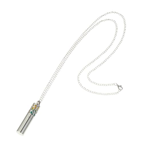 DEARMAMY Aromatherapie Anhänger Halskette Set mit Ätherischem Öl Diffusor Pendant Hohles Design Nachfüllbar Modisch Eleganter Duft Schmuck für Damen und Herren von DEARMAMY