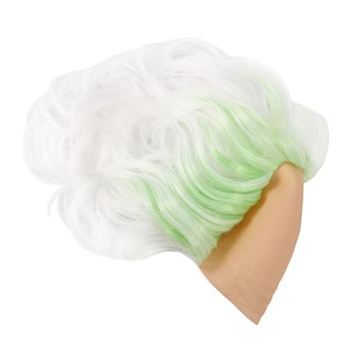 DEARMAMY Cosplay Perücke Glatze Mann Cosplay Perücke Glatze Perücke Neuheit Glatze Perücke Für Halloween Party Karneval von DEARMAMY