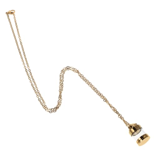 DEARMAMY Edelstahl Asche Urnen Halskette mit Transparentem Glas Anhänger Öffnbares Design für Damen und Herren Kette Geeignet als Erinnerungs Duftflakon Schmuckstück von DEARMAMY