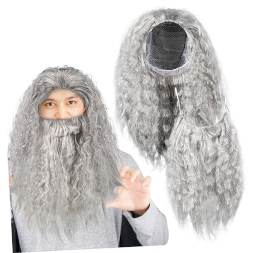 DEARMAMY Halloween Cosplay Perücke und Set Langer Grauer Zauberer Haar und Set aus Hochwertigem Pet Material Abnehmbar für Fasching Männer Verkleidung Halloween Party und Kostüm von DEARMAMY