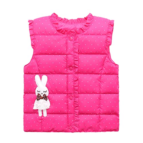 DEBAIJIA Jungen Mädchen Steppweste ärmellose Gilet Kinder Daunenweste niedliche Jacke Stehkragen Weste Herbst und Winter Warm (B-Rose-130) von DEBAIJIA