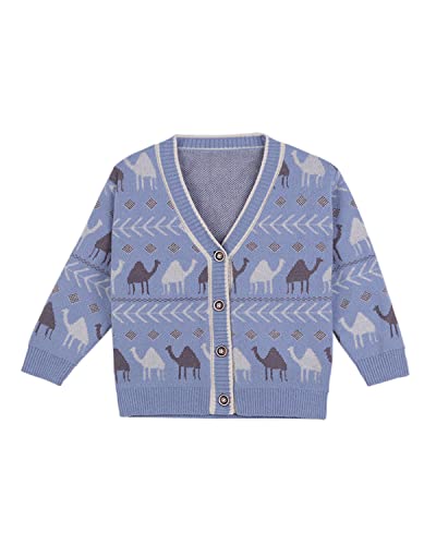 DEBAIJIA Kinder Strickjacken Baby 0-12T Mädchen Jacke Strickjacke Pullover Warm Lange Ärmel Kleinkind Junge Baumwolle Verdicken Herbst Winter(Hölle Blau-100) von DEBAIJIA