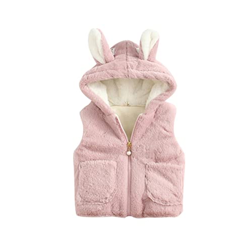 DEBAIJIA Kinder Weste Kapuze Fleece Baby Mädchen Jacke Winter überziehen Warme Dicke Mantel Jungen Fleecejacke Flanell Ärmellose Herbst (Rosa-90) von DEBAIJIA