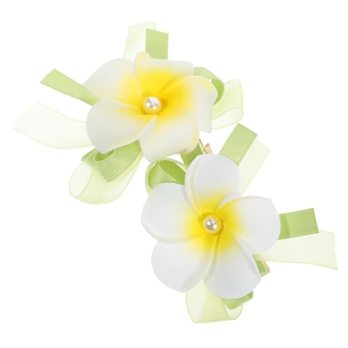 DECOMELODY 2 Stück Teiliges Kleines Plumeria Haarclip für Mädchen Niedliche Hawaii Haarspangen mit Langlebigem Design Vielseitig für Alltag Party Geburtstagsgeschenk und Cosplay Geeignet von DECOMELODY